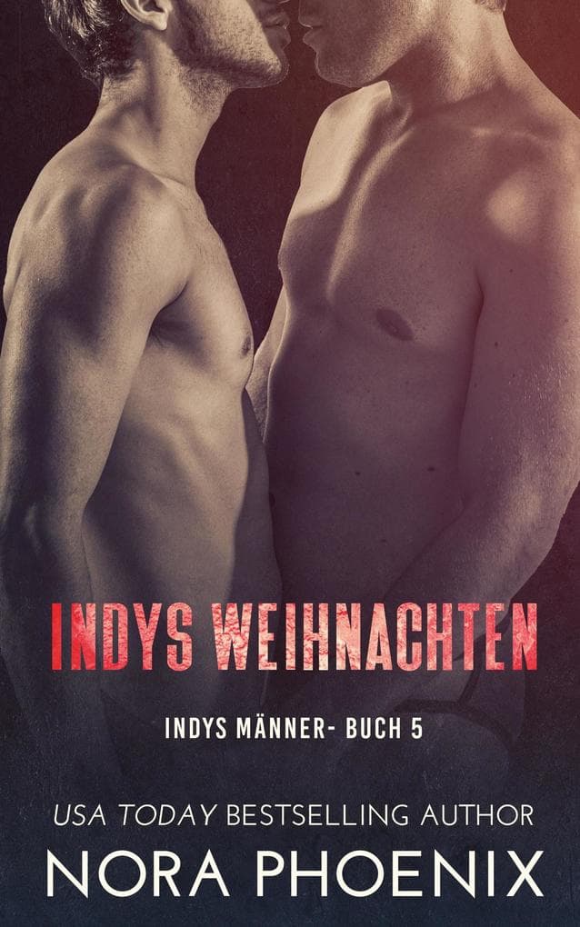 Indys Weihnachten (Indys Männer, #5)