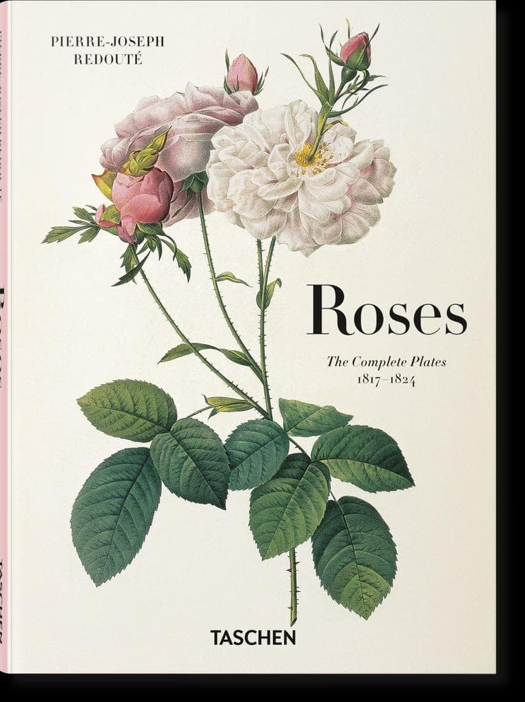 Redouté. Roses: Roses