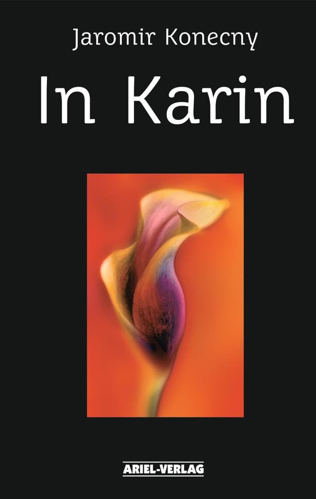 In Karin: Roman eines Geschlechterkampfes