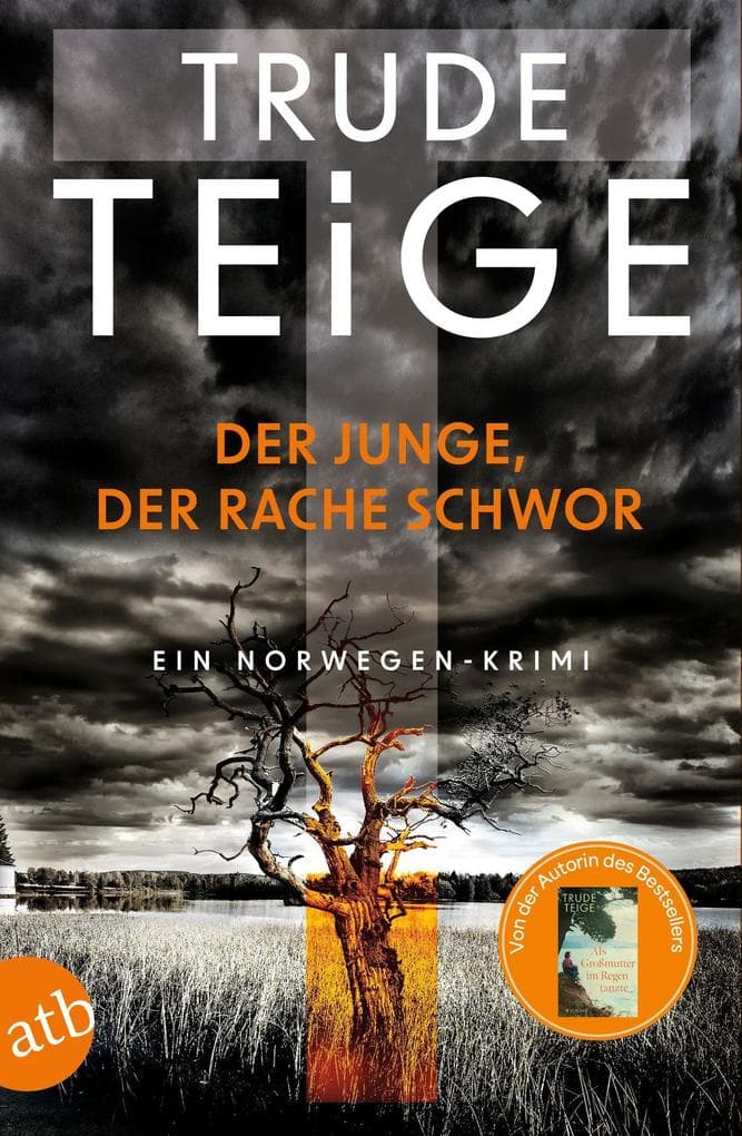 Der Junge, der Rache schwor: Ein Norwegen-Krimi