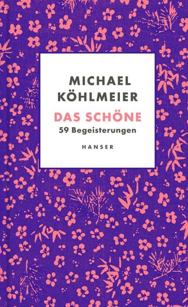 Das Schöne: 59 Begeisterungen