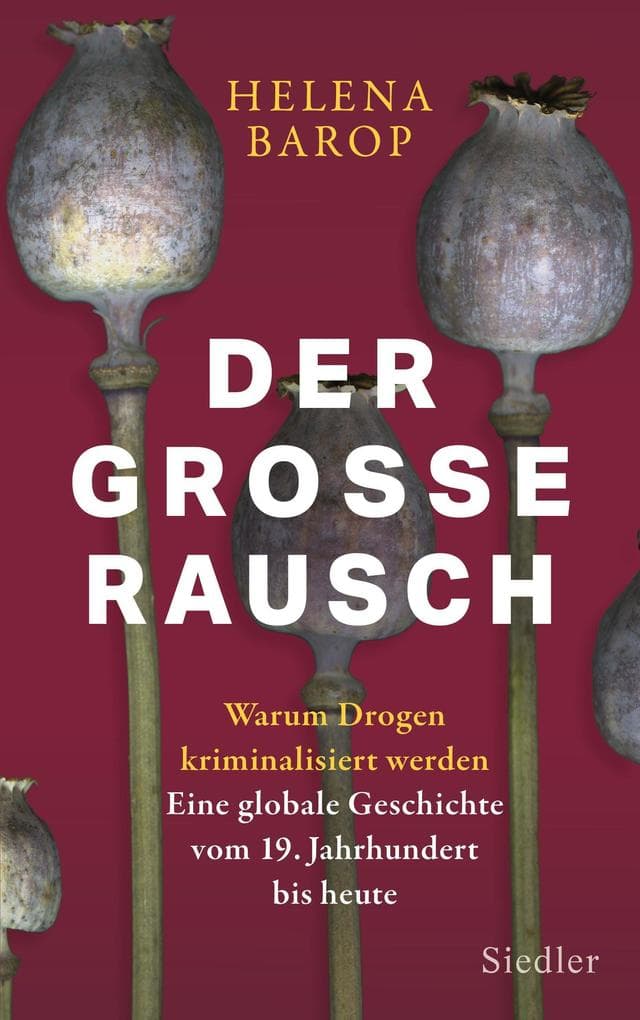 Der große Rausch: Warum Drogen kriminalisiert werden. Eine globale Geschichte vom 19. Jahrhundert bis heute