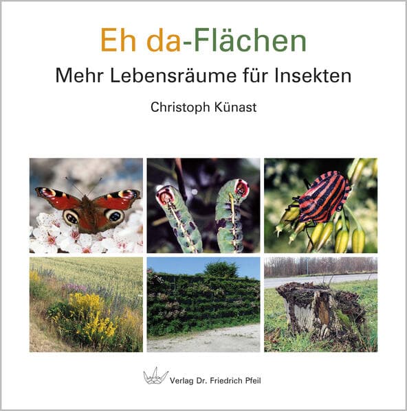Eh da-Flächen: Mehr Lebensräume für Insekten
