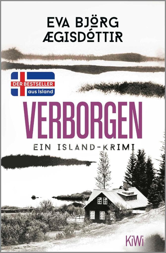 Verborgen: Ein Island-Krimi
