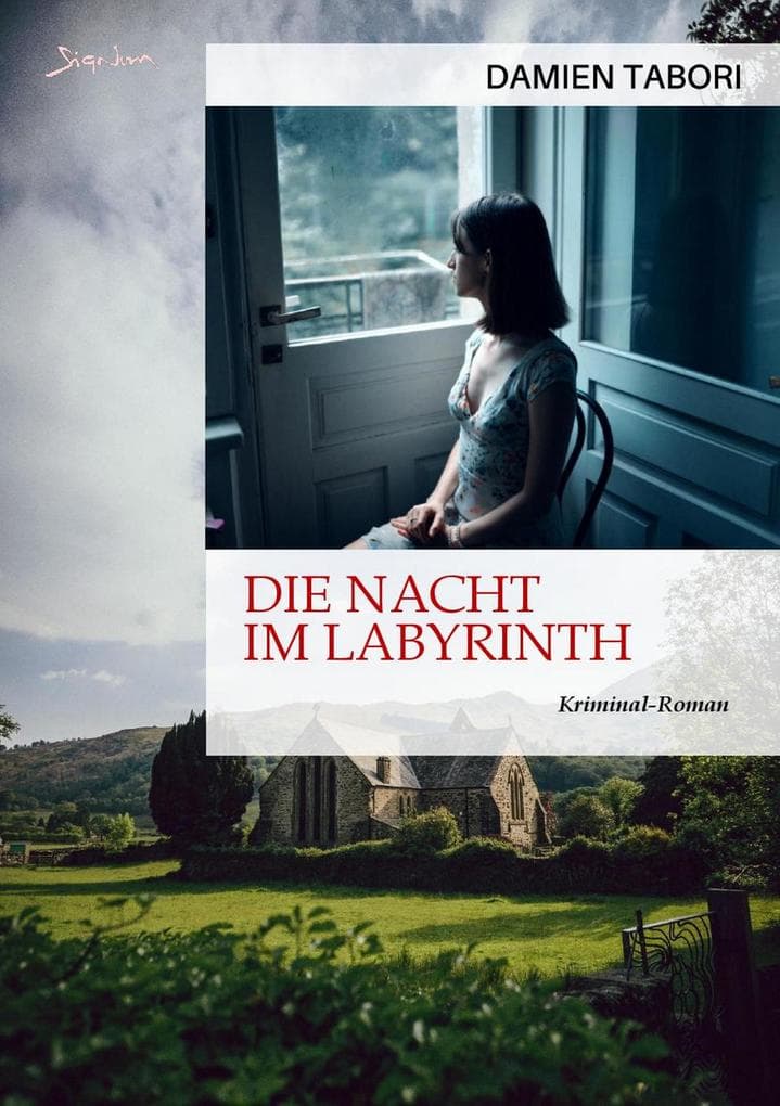 DIE NACHT IM LABYRINTH: Ein Kriminal-Roman