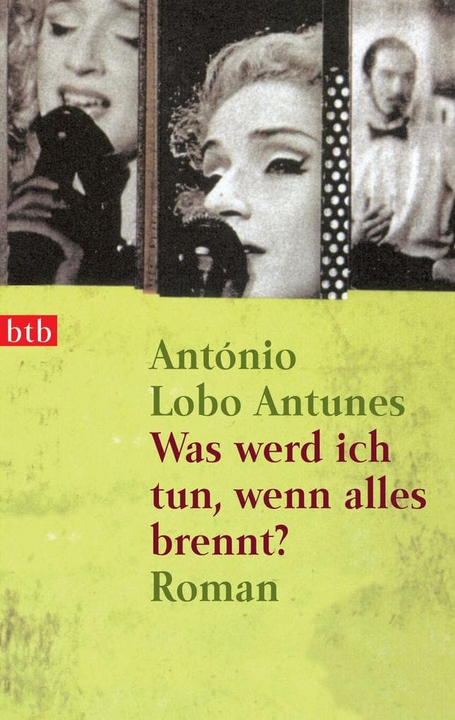 Was werd ich tun, wenn alles brennt?: Roman