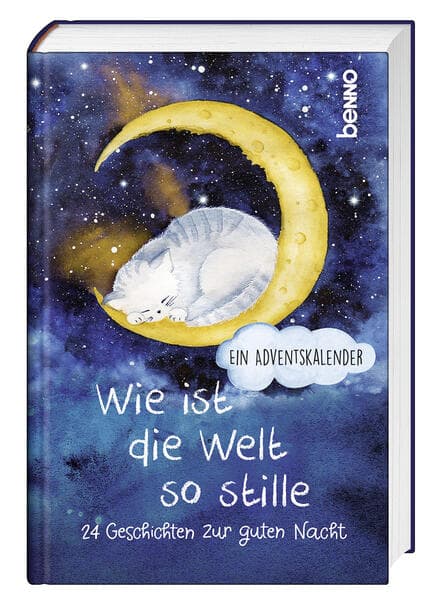 Wie ist die Welt so stille: 24 Geschichten zur guten Nacht. Ein Adventskalender