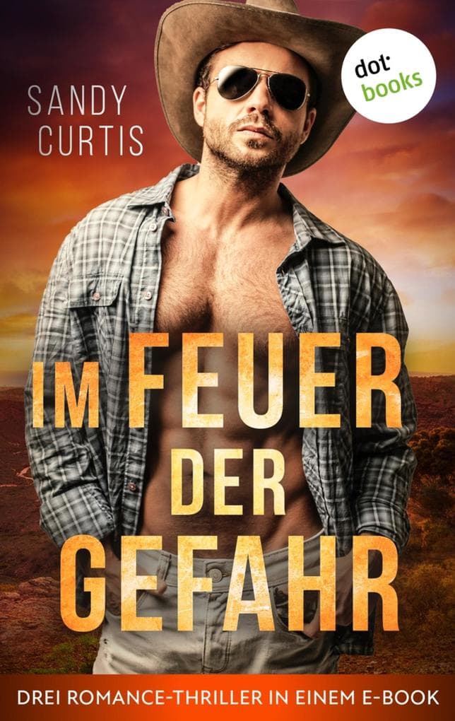 Im Feuer der Gefahr: Drei Romance-Thriller in einem eBook: »Das Tal der Angst«, »Der Fluss der Vergessenen« und »Im Meer der Furcht«