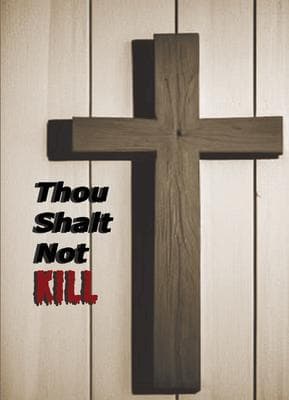 Thou Shalt Not Kill: A Charlie Callahan Mystery