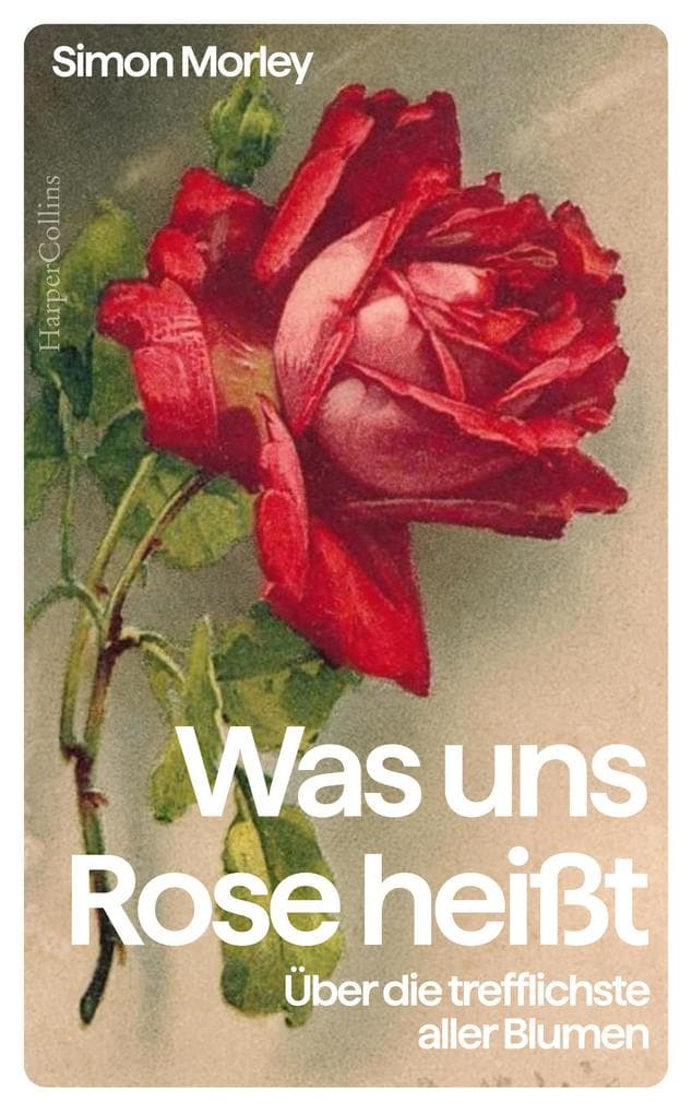 Was uns Rose heißt. Über die trefflichste aller Blumen: Eine Kulturgeschichte der Rose | Das perfekte Geschenk für Rosenliebhaberinnen und Rosenliebhaber, Gartenfreunde und Kunstinteressierte
