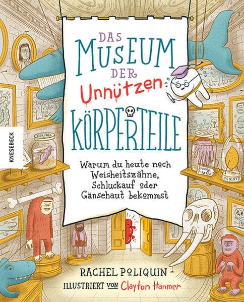 Das Museum der unnützen Körperteile: Warum du heute noch Weisheitszähne, Schluckauf oder Gänsehaut bekommst