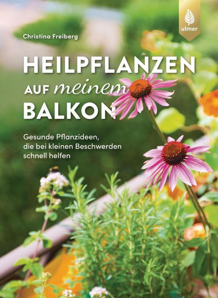 Heilpflanzen auf meinem Balkon: Gesunde Pflanzideen, die bei kleinen Beschwerden schnell helfen