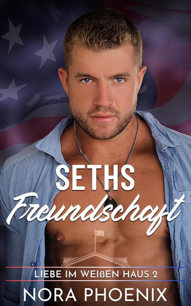 Seths Freundschaft (Liebe im Weißen Haus, #2)