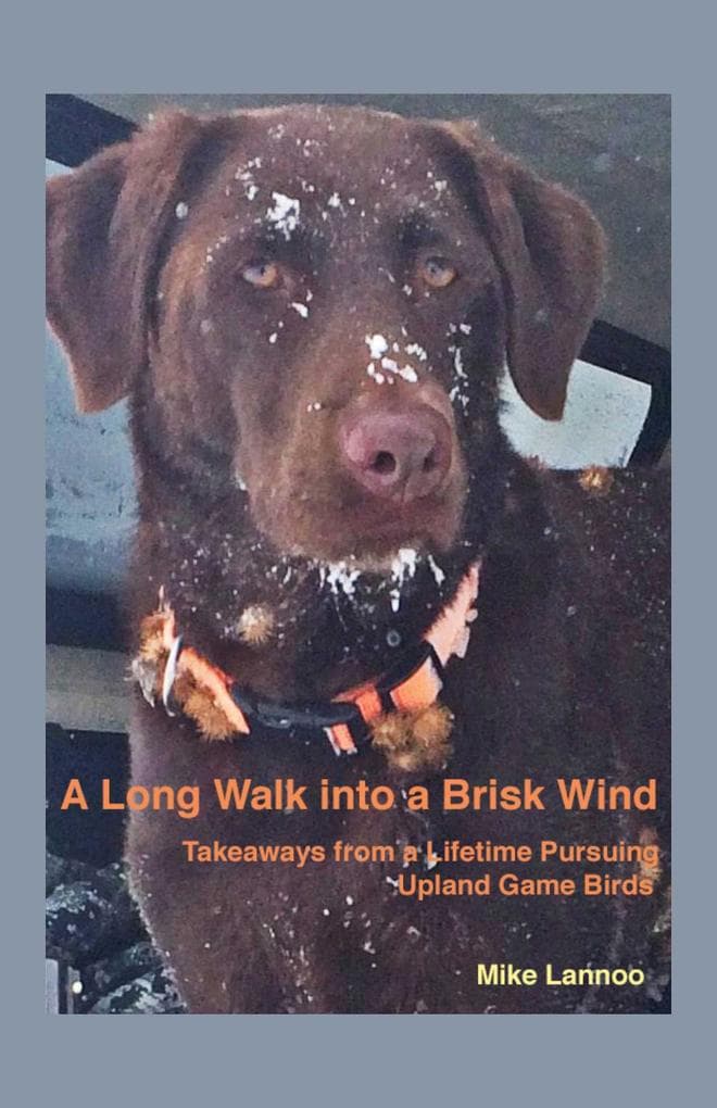Long Walk into a Brisk Wind: Takeaways from a Lifetime Pursuing Upland Game Birds