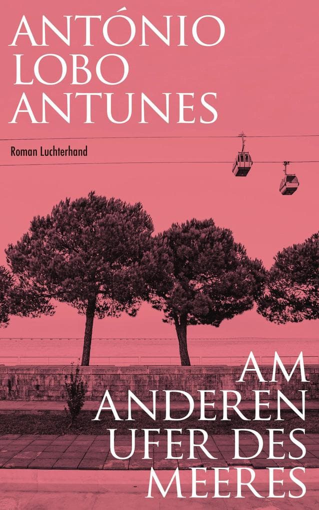 Am anderen Ufer des Meeres: Roman