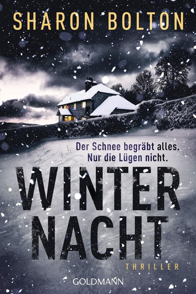 Winternacht - Der Schnee begräbt alles. Nur die Lügen nicht: Thriller