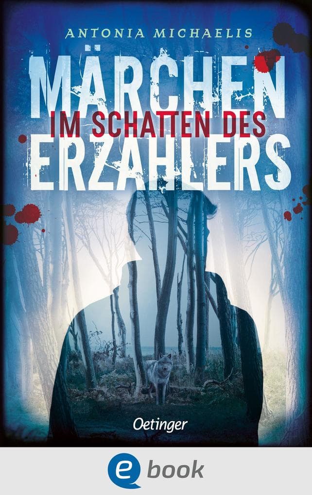 Im Schatten des Märchenerzählers: Fesselnder Thriller über Liebe, Erwachsenwerden und die Schatten der Vergangenheit (Der Märchenerzähler, Band 2)