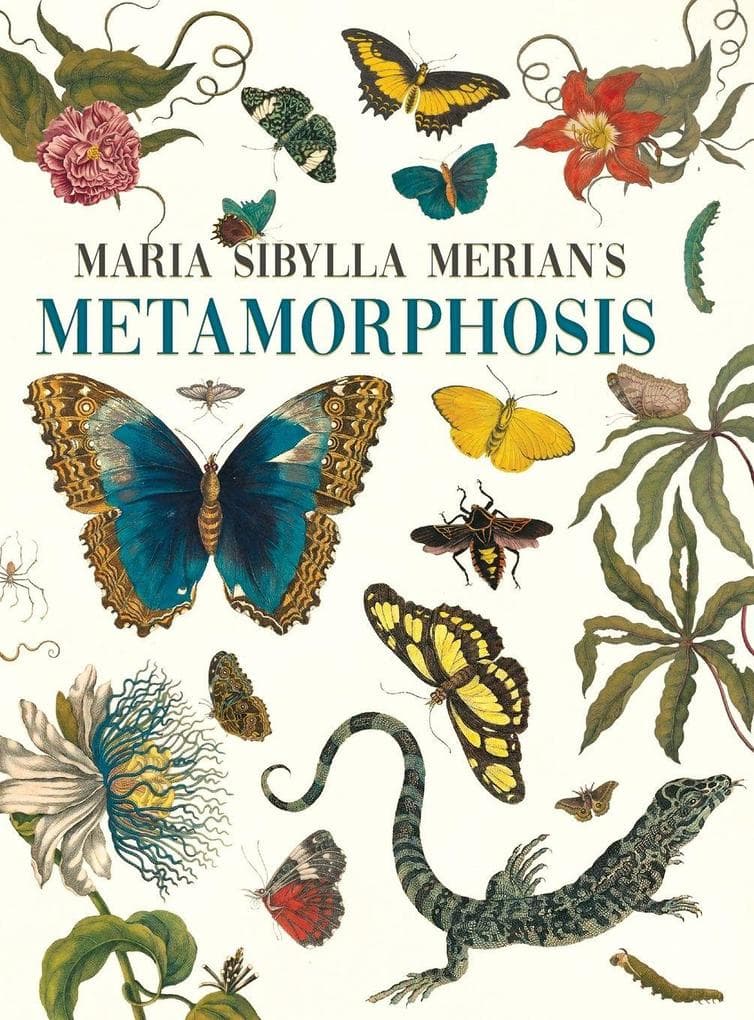 Maria Sibylla Merian's Metamorphosis: One Woman's Discovery of the Transformation of Butterflies and Insects