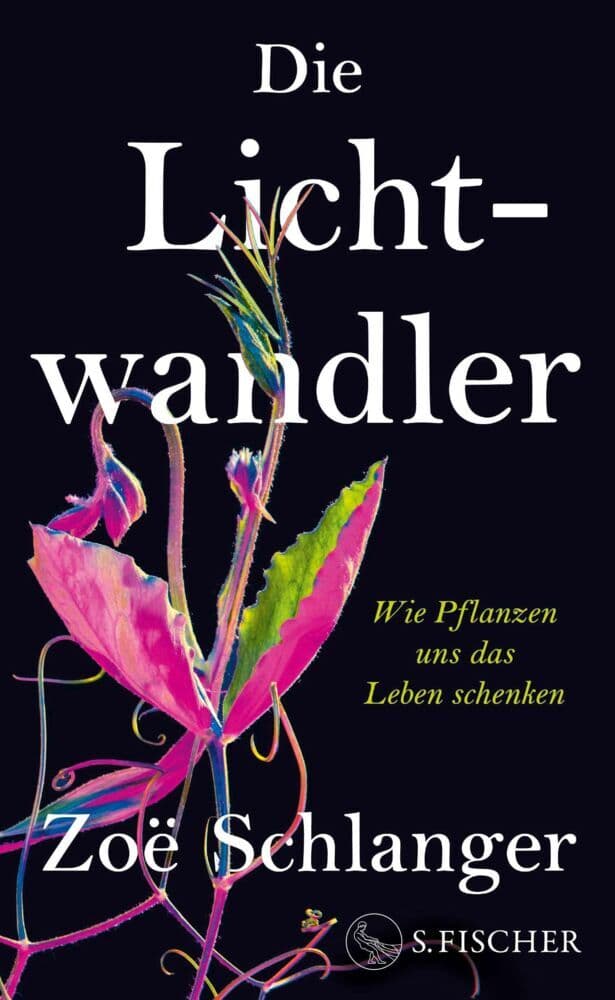 Die Lichtwandler: Wie Pflanzen uns das Leben schenken