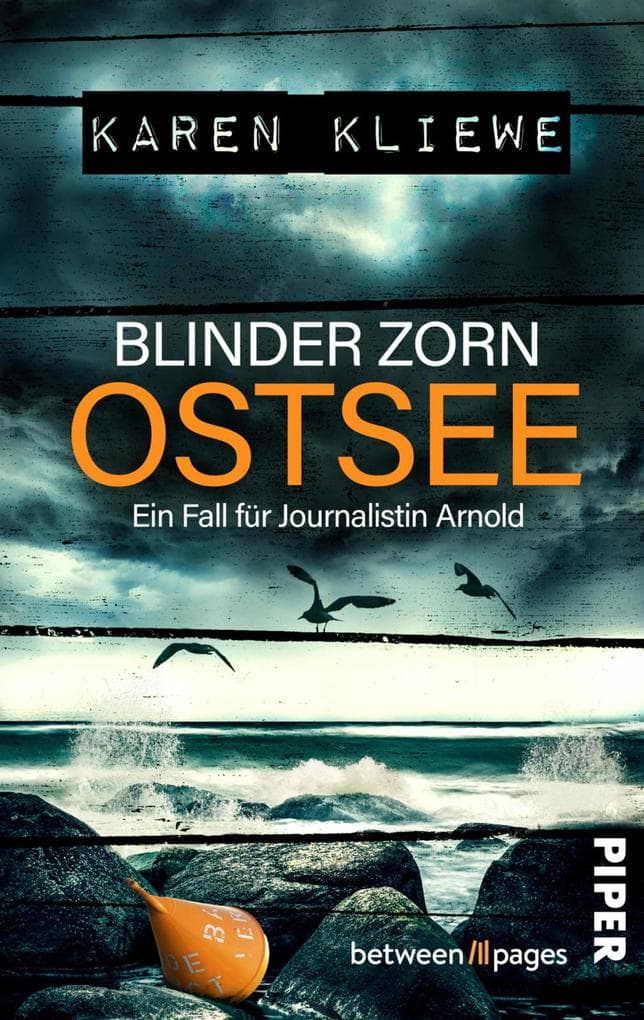 Blinder Zorn: Ostsee: Ein Fall für Journalistin Arnold | Spannender Ostsee-Krimi mit ermittelnder Journalismus-Studentin und einem düsteren Geheimnis