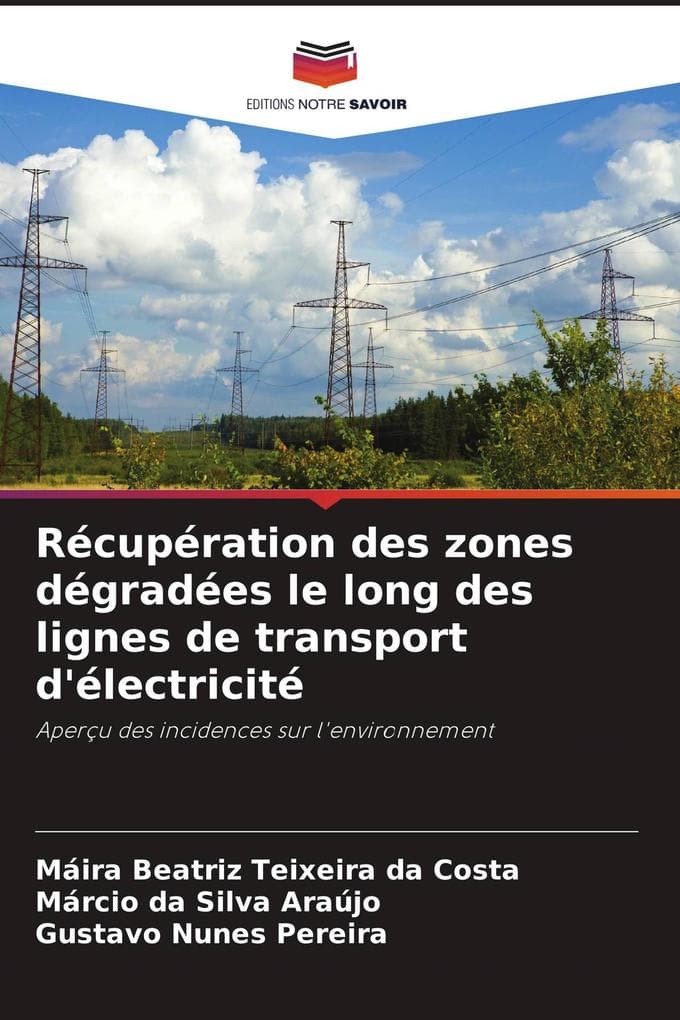 Récupération des zones dégradées le long des lignes de transport d'électricité: Aperçu des incidences sur l'environnement