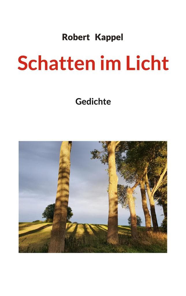 Schatten im Licht: Gedichte