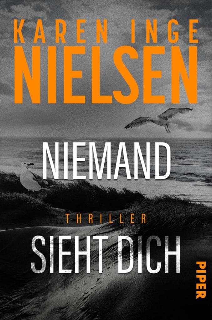 Niemand sieht dich: Thriller | Dunkle Morde im Grenzland | Die Thriller-Sensation aus Dänemark