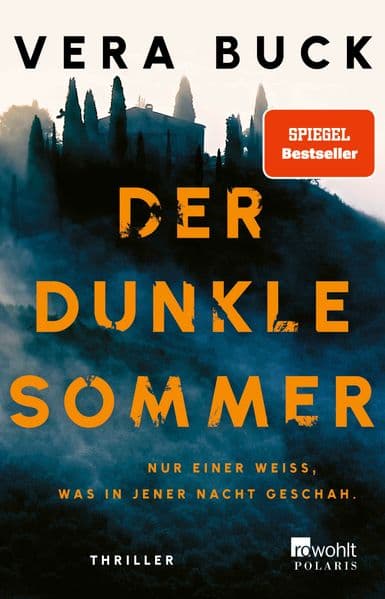 Der dunkle Sommer: Nur einer weiß, was in jener Nacht geschah. | Thriller
