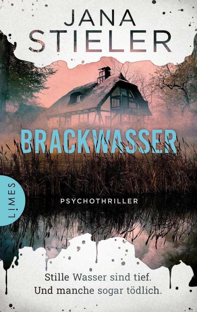 Brackwasser - Stille Wasser sind tief. Und manche sogar tödlich ...: Psychothriller - Atmosphärische Spannung aus Norddeutschland
