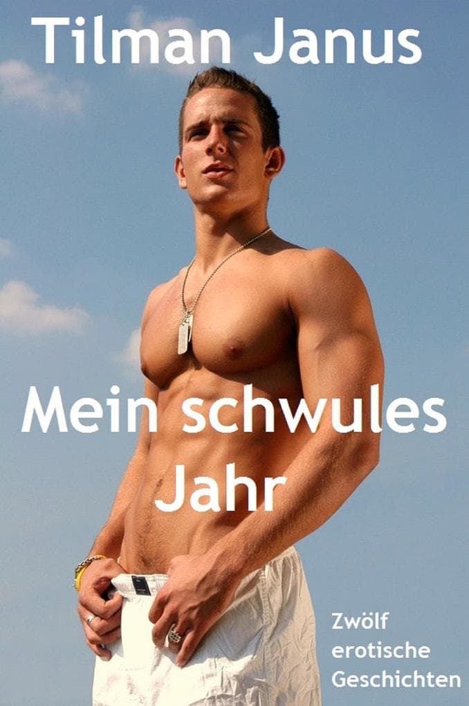 Mein schwules Jahr: Zwölf erotische Kurzgeschichten