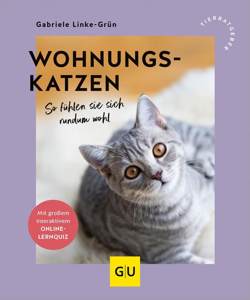 Wohnungskatzen: So fühlen sie sich rundum wohl