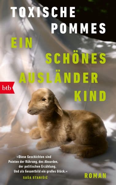 Ein schönes Ausländerkind: Roman - 'Diese Geschichten sind Pointen der Rührung, des Absurden, der politischen Erzählung. Und als Gesamtbild ein großes Glück.' Saa Stanii