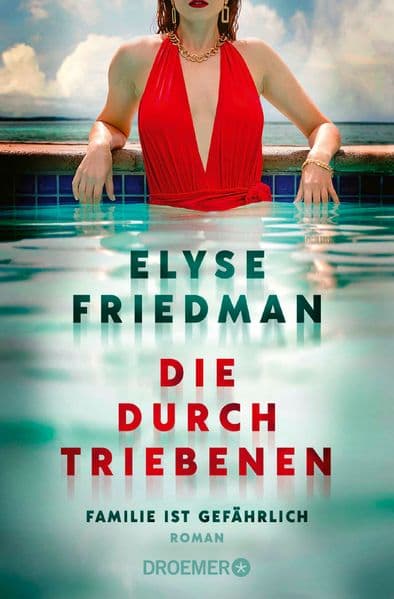 Die Durchtriebenen: Familie ist gefährlich. Roman | Bitter-böser Familien-Thriller aus Kanada
