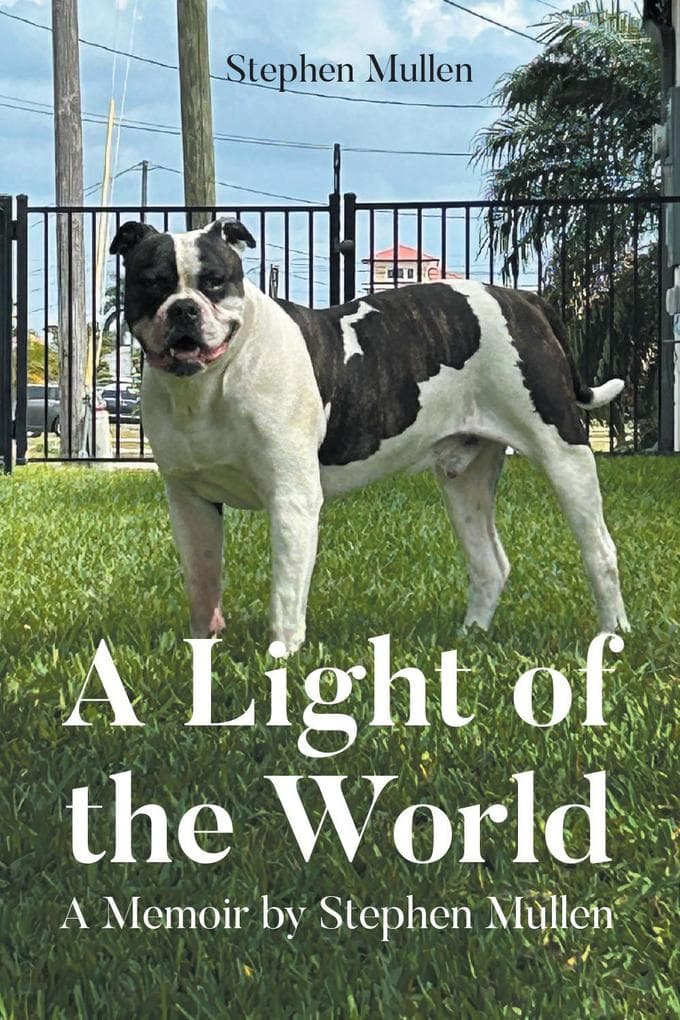 A Light of the World: A Memoir by Stephen Mullen