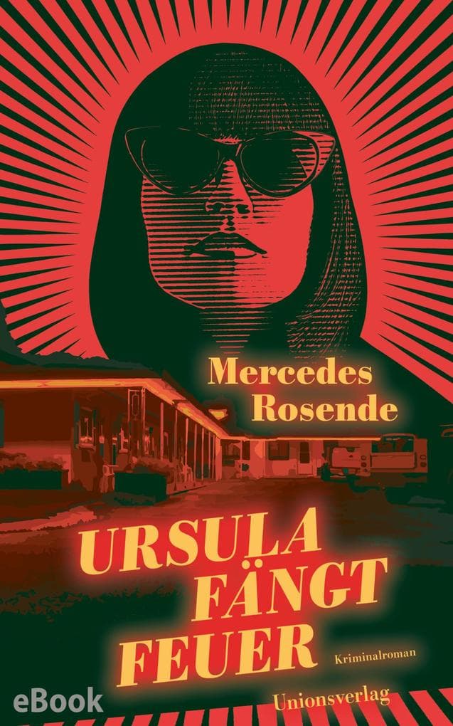 Ursula fängt Feuer: Kriminalroman. Die Montevideo-Romane (4)