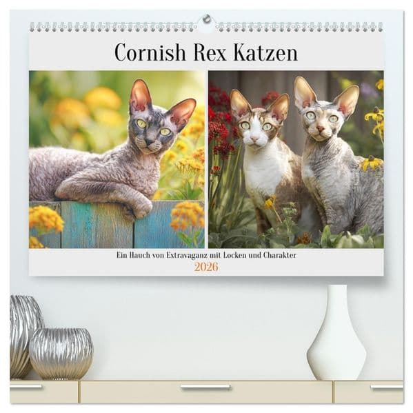 Cornish Rex Katzen. Ein Hauch von Extravaganz mit Locken und Charakter (hochwertiger Premium Wandkalender 2026 DIN A2 quer), Kunstdruck in Hochglanz: Edle Katzen bezaubern mit einzigartigem Look und neugierigem Wesen