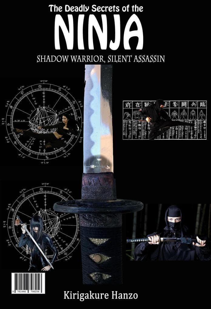 Martial Arts : The Deadly Secrets of Ninja Shadow Warrior, Silent Assassin