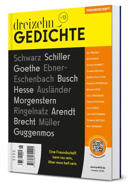 dreizehn +13 Gedichte: Lyrik zum Thema Freundschaft
