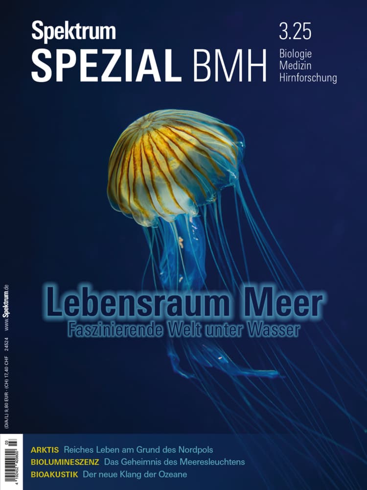Spektrum Spezial BMH 3/2025 - Lebensraum Meer: Faszinierende Welt unter Wasser