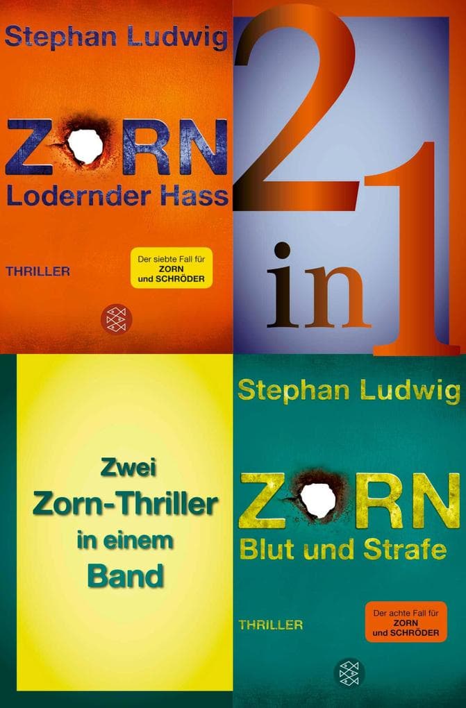Lodernder Hass / Blut und Strafe - Zwei Zorn-Thriller in einem Band