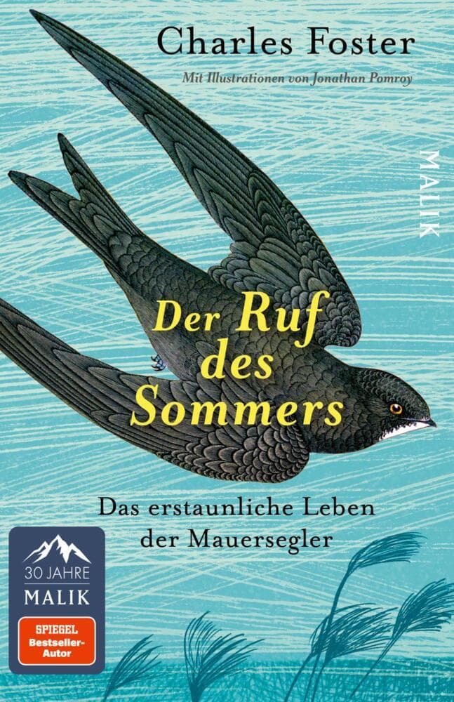Der Ruf des Sommers: Das erstaunliche Leben der Mauersegler | Eine tiefgreifende Auseinandersetzung mit einer höchst spannenden Vogelart