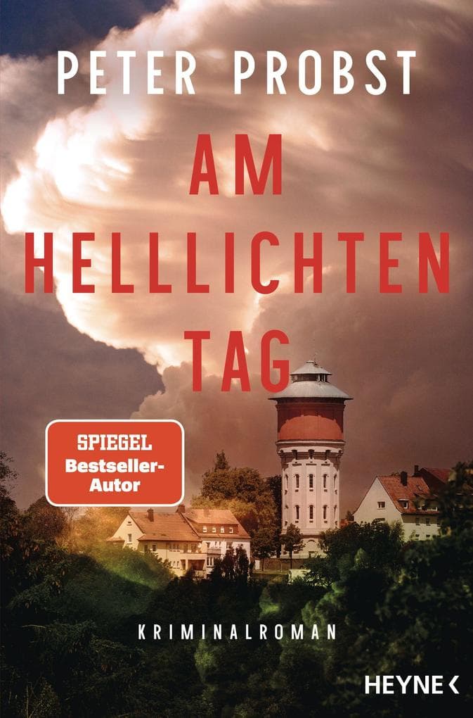 Am helllichten Tag: Kriminalroman - Basierend auf einem wahren Verbrechen