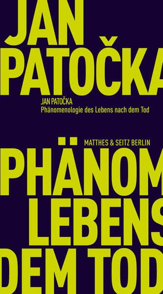 Phänomenologie des Lebens nach dem Tod
