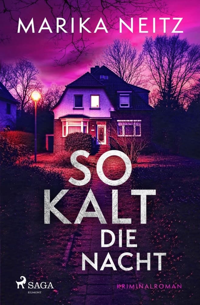 So kalt die Nacht: Spannender Krimi voller Geheimnisse und menschlicher Abgründe: Die Fahndung, Band 1