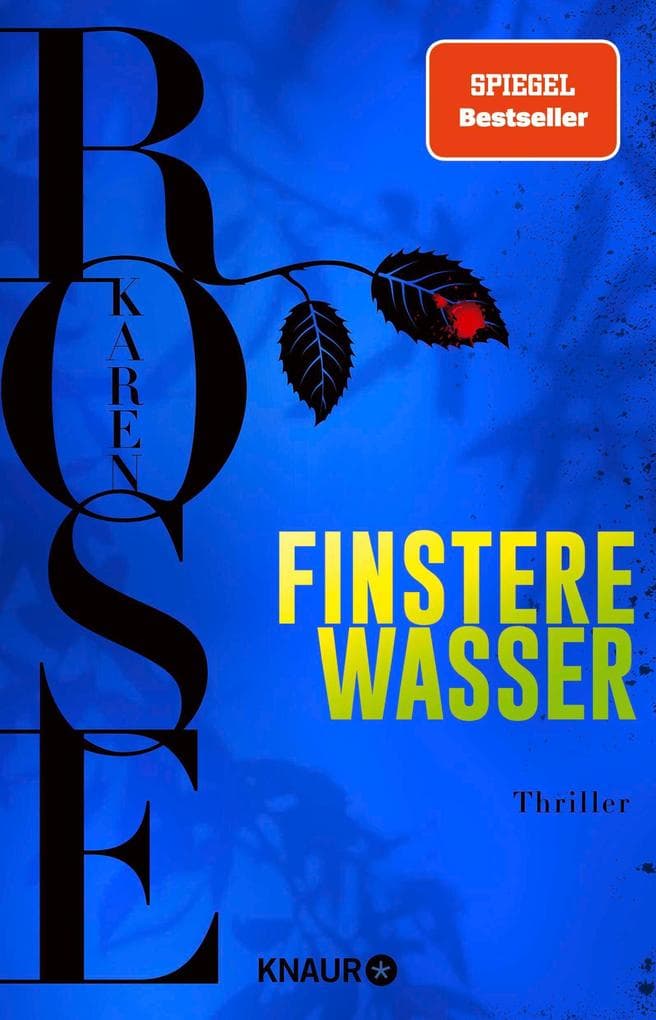 Finstere Wasser: Thriller | Die Fortsetzung der Spiegel-Bestseller-Reihe aus New Orleans