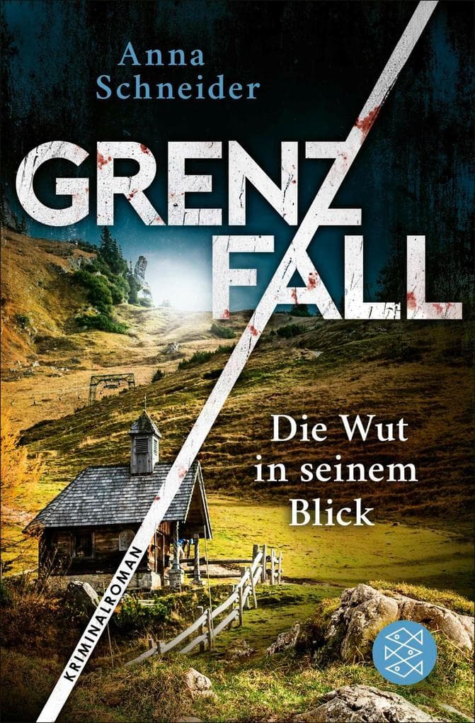 Grenzfall - Die Wut in seinem Blick: Kriminalroman | Die grenzüberschreitende Bestseller-Serie zwischen Deutschland & Österreich