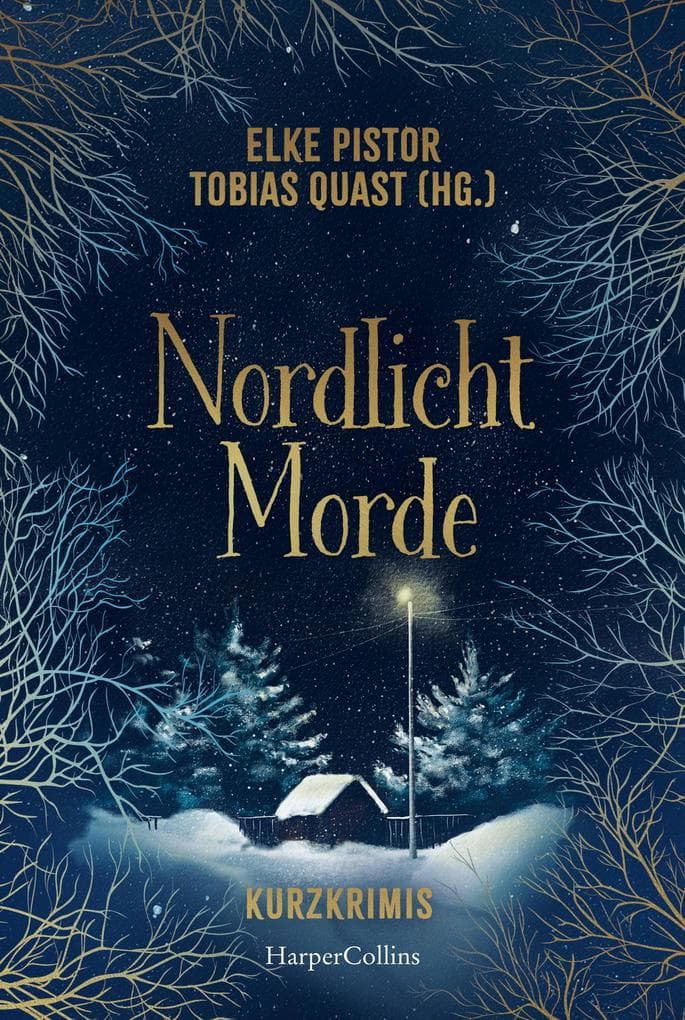 Nordlichtmorde. 20 Kurzkrimis: Krimi-Anthologie | 20 spannende Kurzkrimis in Skandinavien | Gänsehaut zur Winterzeit