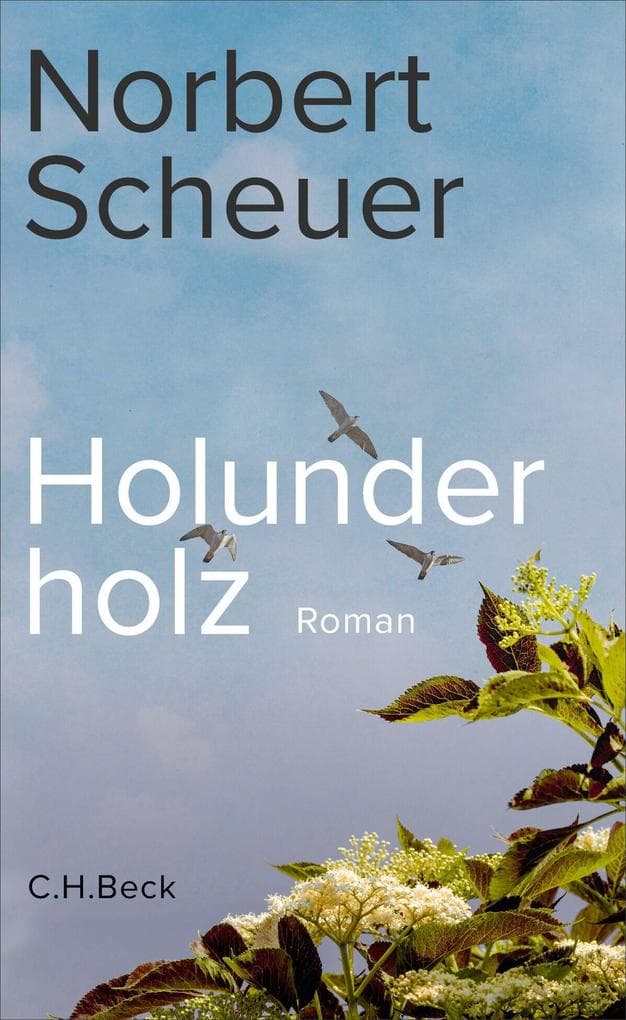 Holunderholz: Roman