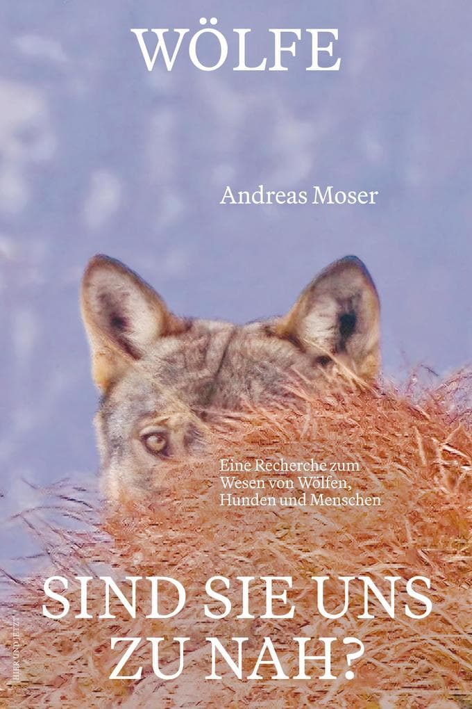 Wölfe - sind sie uns zu nah?: Eine Recherche zum Wesen von Wölfen, Hunden und Menschen