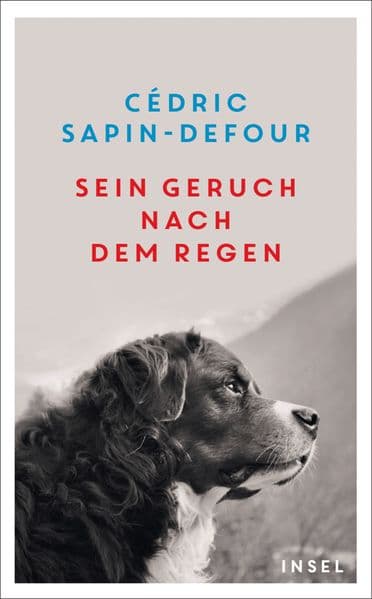 Sein Geruch nach dem Regen: Eine Ode an die einzigartige Verbindung zwischen Mensch und Hund